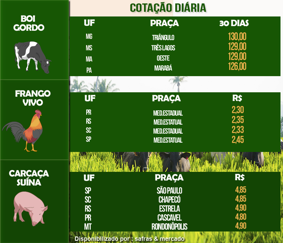 Indicadores